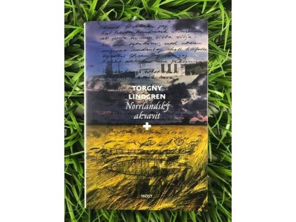 316698703 525412392906106 4573531267705905517 n