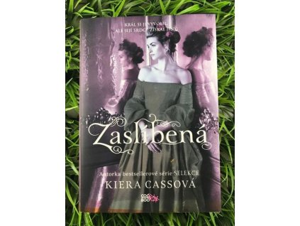 317325735 2085539098305158 8688958849429230786 n