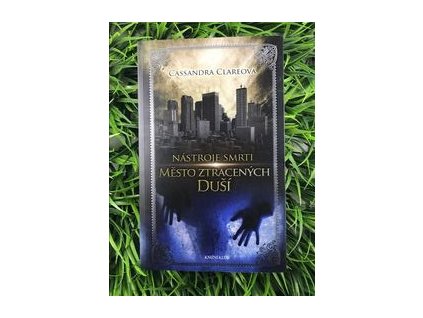 317215104 1262097534647575 7984418546568971708 n