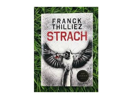 317316587 475309534668334 8975168988475583242 n