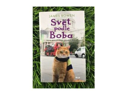 316985324 530131562486557 3495984722212139129 n