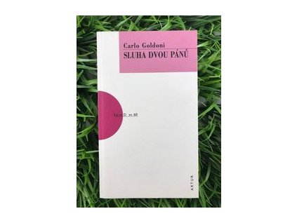 317112924 629628342240088 4822861048882760831 n