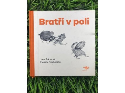 317502061 681642846924070 3839695917660526419 n