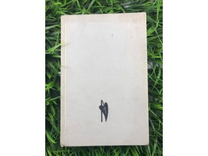 317626082 701017534670640 4326699239052168530 n