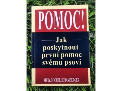 318195543 697151455092217 8383863235426095011 n