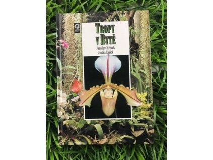 318311318 1813214279071002 6064649396599109783 n