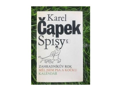 318623086 1255646361651992 3298640546689929286 n