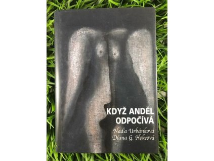 319344930 652581743229081 1756289796431705559 n