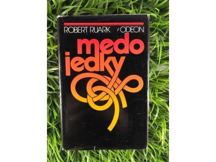 318880030 1589076904897762 2100854609085033677 n