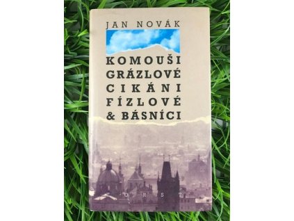 319315337 920825952411626 6250958826676240065 n