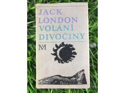 318741441 498781029013300 5841961876340243645 n