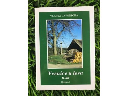 319767429 880398249631675 7766276820875735296 n