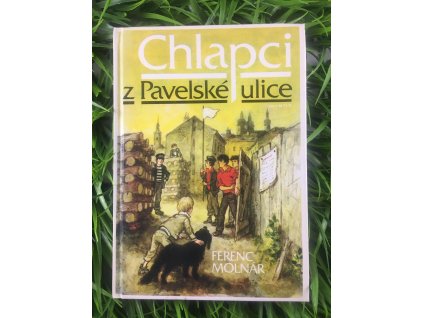 360213846 638265171569606 5382856518022169989 n