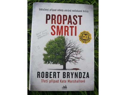 Propast smrti - Robert Bryndza