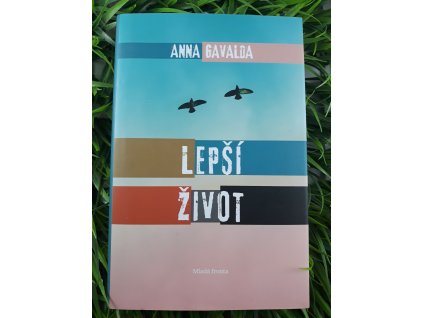 Lepší život - Anna Gavalda