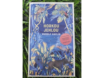 Horkou jehlou - Rudolf Havlík