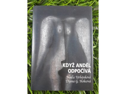 Když anděl odpočívá - Naďa Urbánková & Diana G. Hokeová