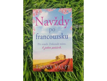 361684683 977917840001214 1482075480153373721 n