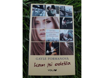Kam jsi odešla - Gayle Formanová