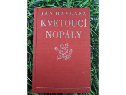 Kvetoucí nopály - Jan Havlasa