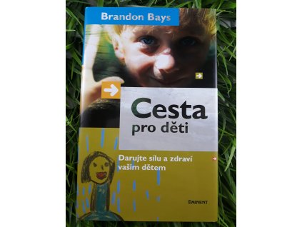 Cesta pro děti: darujte sílu a zdraví vašim dětem - Brandon Bays