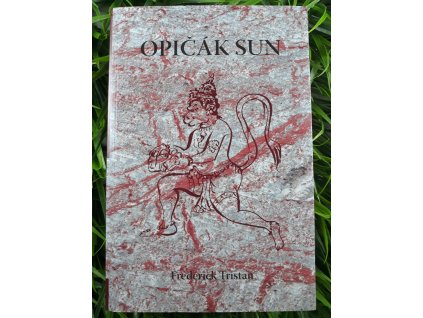 Opičák Sun - Frédérick Tristan