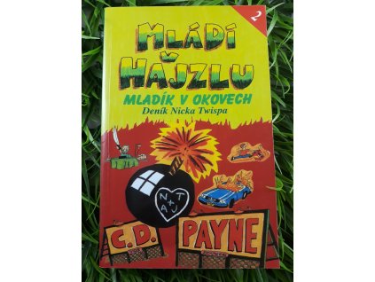 Mládí v hajzlu: Mladík v okovech - C.D. Payne