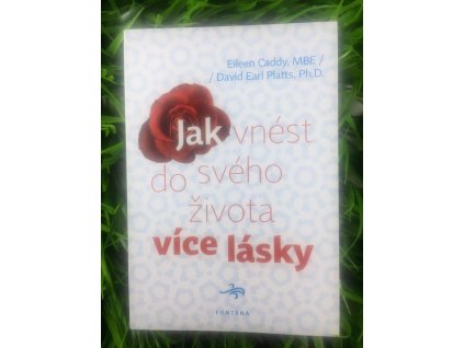 jakvnest