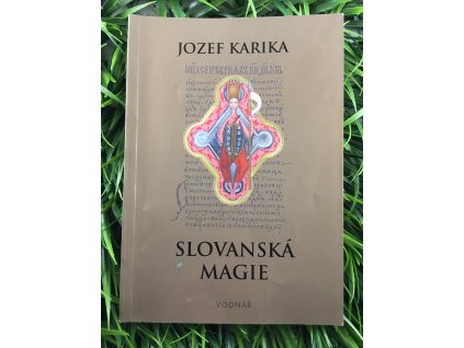 365413001 818572006391597 8604840436205854423 n