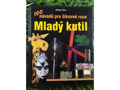 Mladý kutil: 100 návodů pro šikovné ruce - Dieter Rex