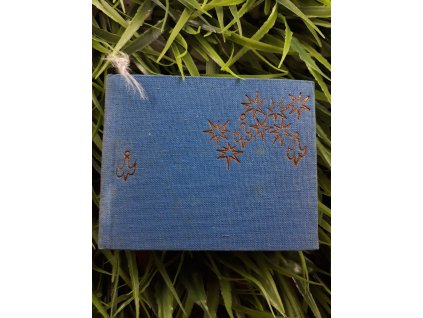 Písmena, pohlednice, nápisy - Vítězslav Nezval