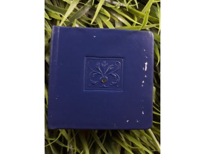 Wagnerova cesta do Prahy - Ladislav Šíp