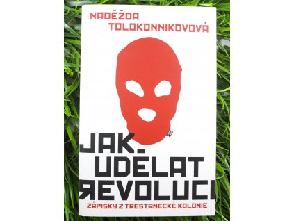 Jak udělat revoluci: Zápisky z trestanecké kolonie - Naděža Tolokonnikovová