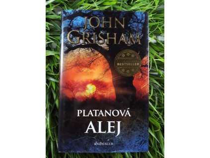 Platanová alej - John Grisham