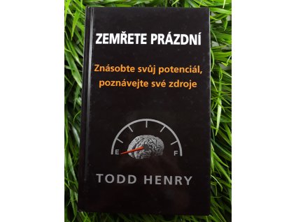 Zemřete prázdní: Znásobte svůj potenciál, poznávejte své zdroje - Todd Henry