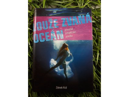 Louže zvaná oceán - Zdeněk Král