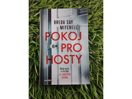 Pokoj pro hosty - Dreda Say Mitchell
