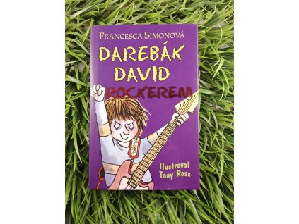 Darebák David rockerem - Francesca Simonová