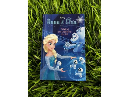 Návrat do ledového paláce - Anna a Elsa - Erica David