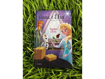 Tajemný ctitel - Anna a Elsa - Erica David