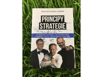 Principy strategie - David B. Yoffie