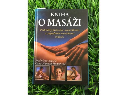 Kniha o masáži - Lucinda Lidellová