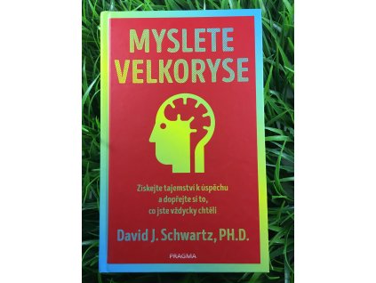 Myslete velkoryse - David J. Schwartz