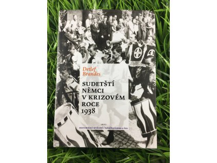 Sudetští němci v krizovém roce 1938