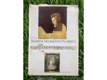 Sbohem, můj krásný plameni - Zdeněk Mahler