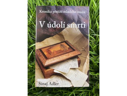 V údolí smrti - Sinaj Adler