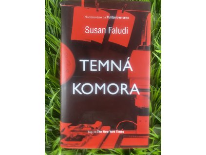 Temná komora - Susan Faludi