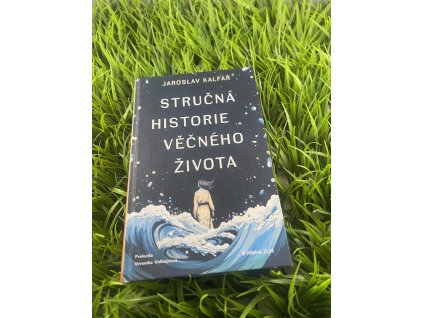 Stručná historie věčného života - Jaroslav Kalfař