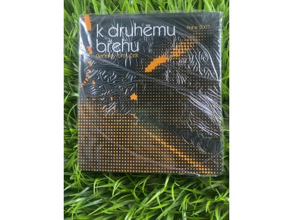 K druhému břehu - Stanislav Brouček