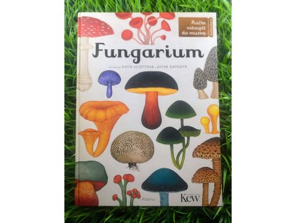 Fungarium - Katie Scottová